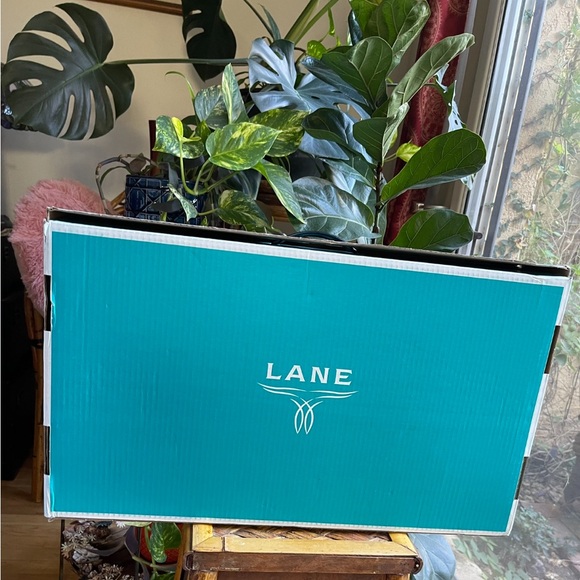 LANE White “Silver Charo” Wild Hair Bridal Western Wedding Boots GORGEOUS Sz 7.5 - Picture 7 of 14